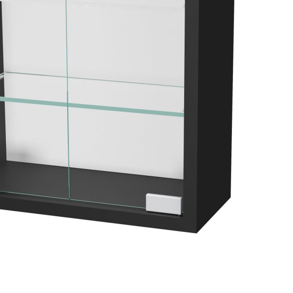 Vitrinekast staande hangende wandvitrine - 30 x 60 x 13 cm - Meubel Plein