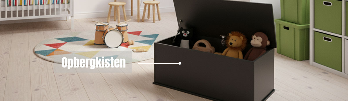 Opbergkisten