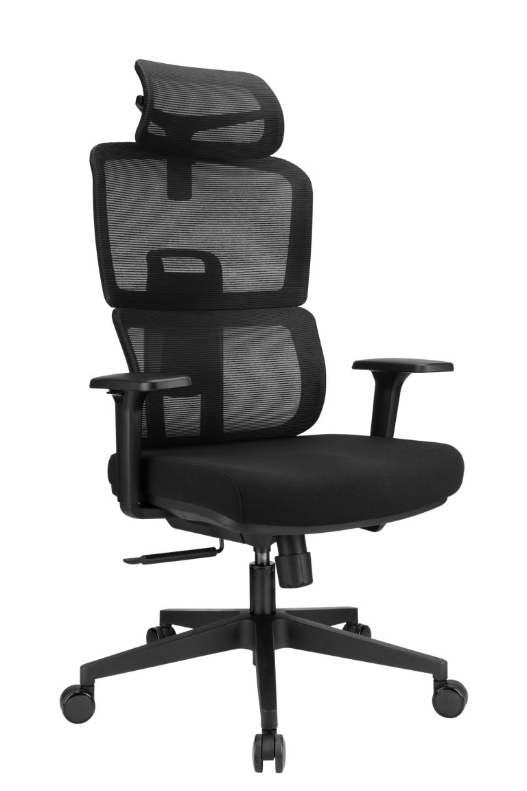 Bureaustoel - directiestoel - ergonomisch verstelbaar - extra dikke vulling - grijs - Meubel-Plein