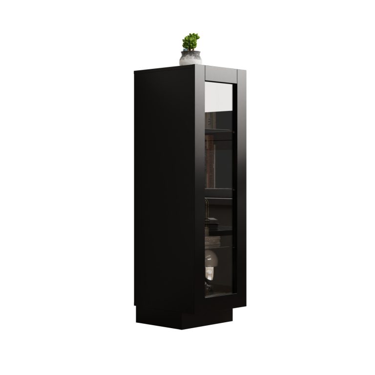 VDD Vitrinekast - Met Glazen Deur - 120,5 x 37 x 39,5 cm - Zwart